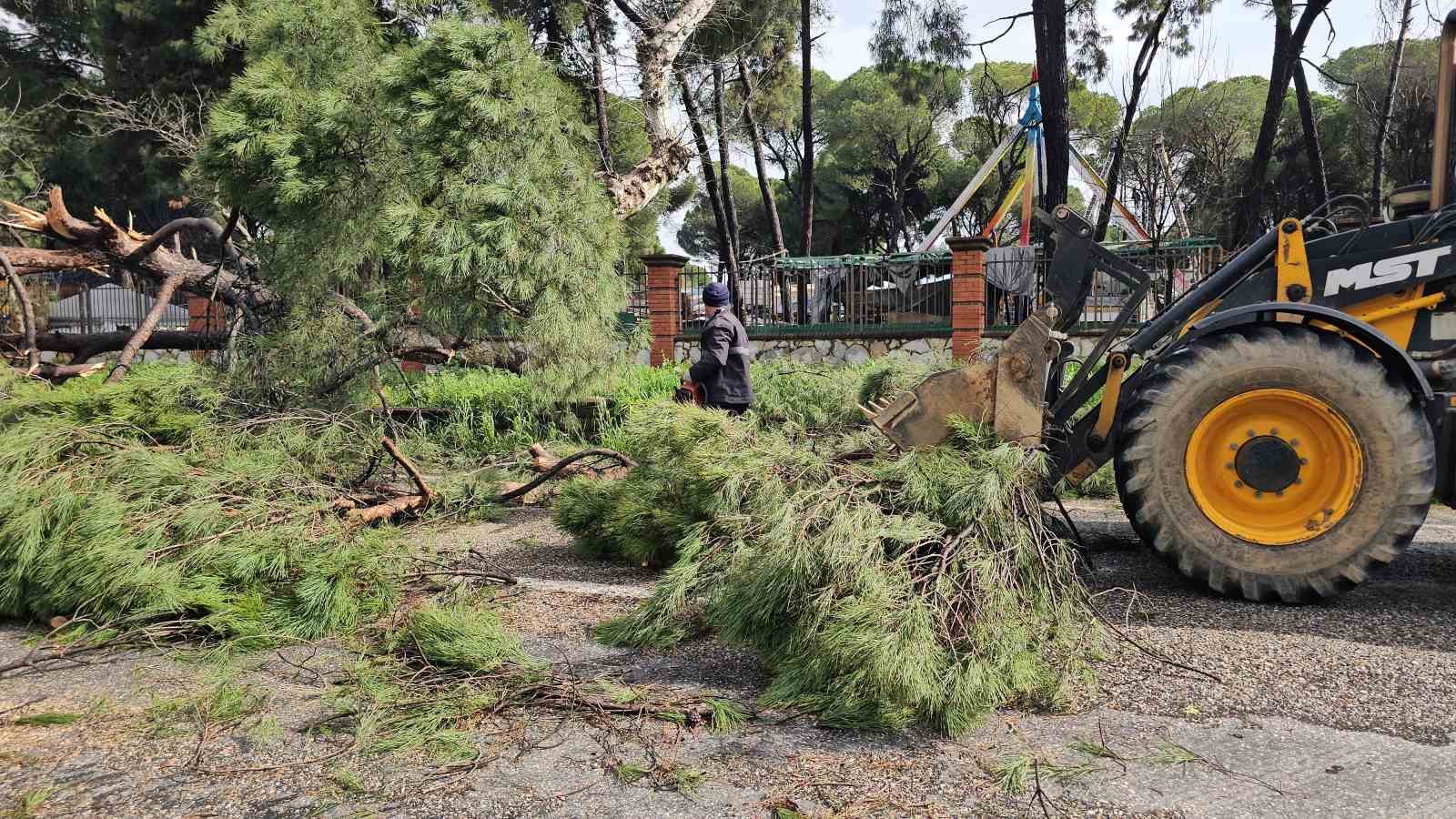 Nazilli&rsquo;de fırtınayla devrilen dev &ccedil;am ağacı karayolunu trafiğe kapadı
