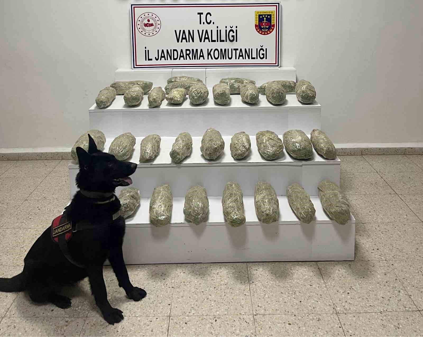 Başkale’de 21 kilo 350 gram skunk ele geçirildi