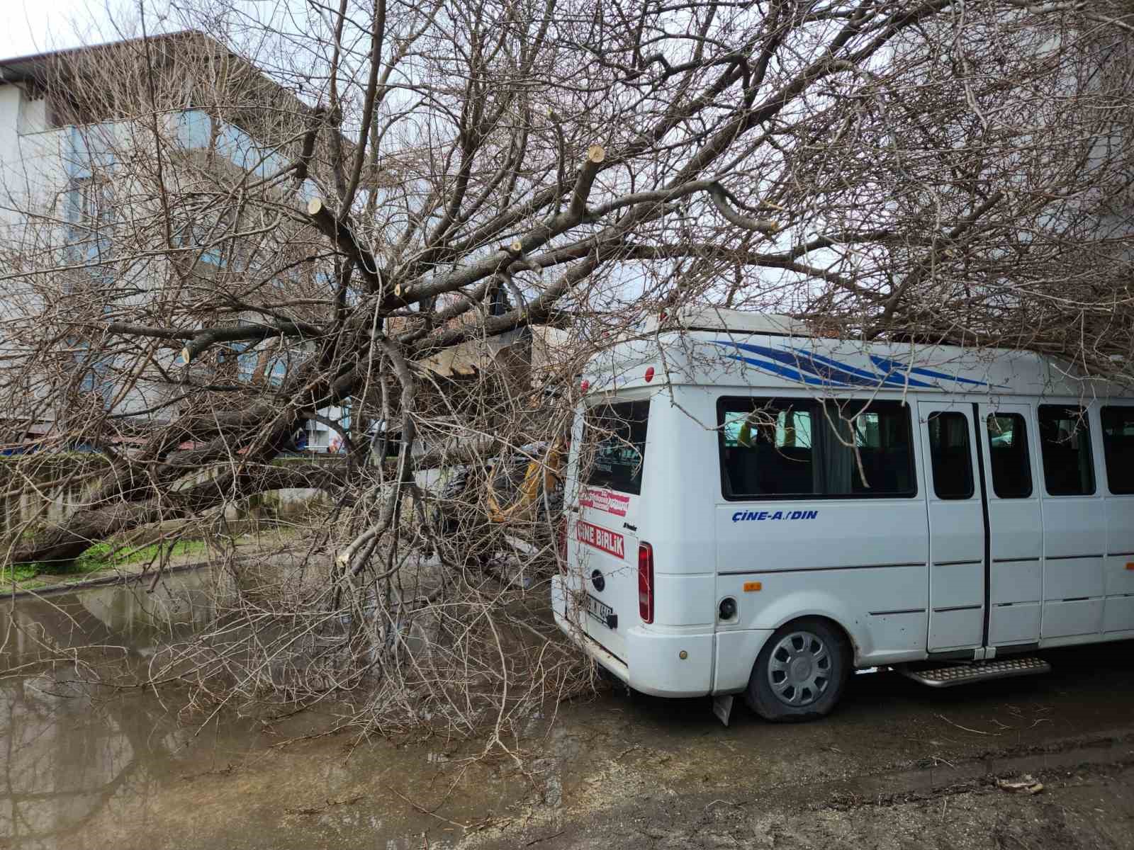 Çine’de dut ağacı minibüsün üstüne devrildi