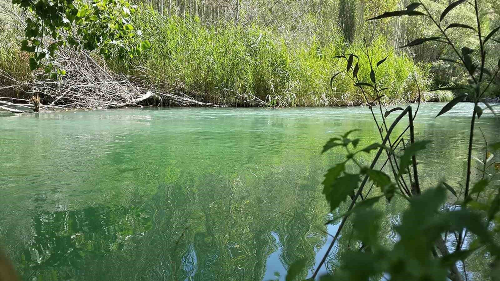 Tohma Çayı’nın ekolojik sağlığı bilimsel olarak ortaya kondu