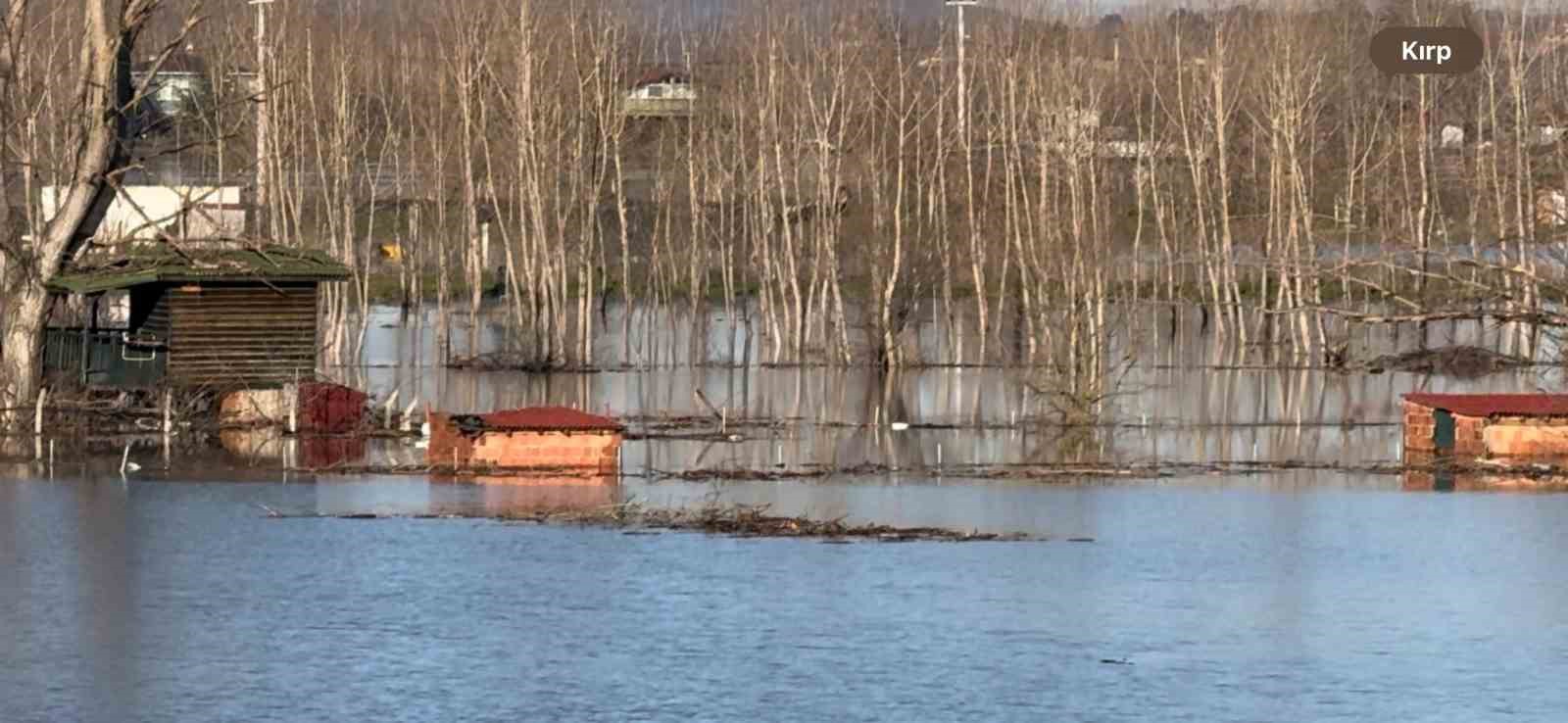 Edirne&rsquo;de Meri&ccedil; Nehri taştı, &ccedil;ok sayıda hobi bah&ccedil;esi su altında kaldı
