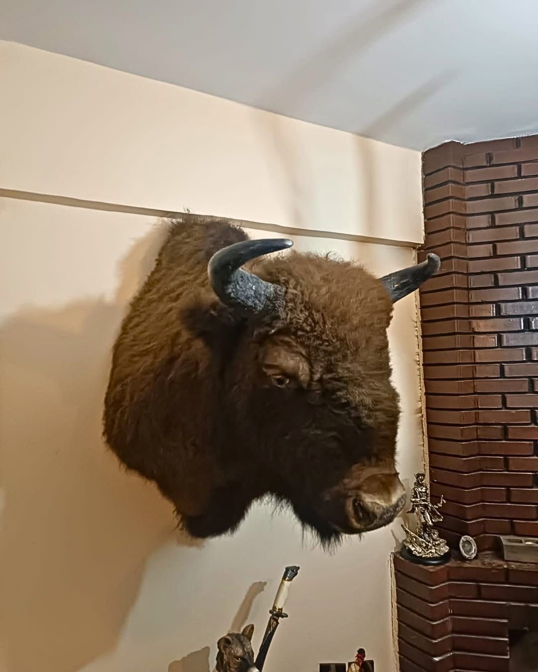 Tekirdağ’da yaban hayvanlarına ait 40 adet tahnit ve trofe ele geçirildi