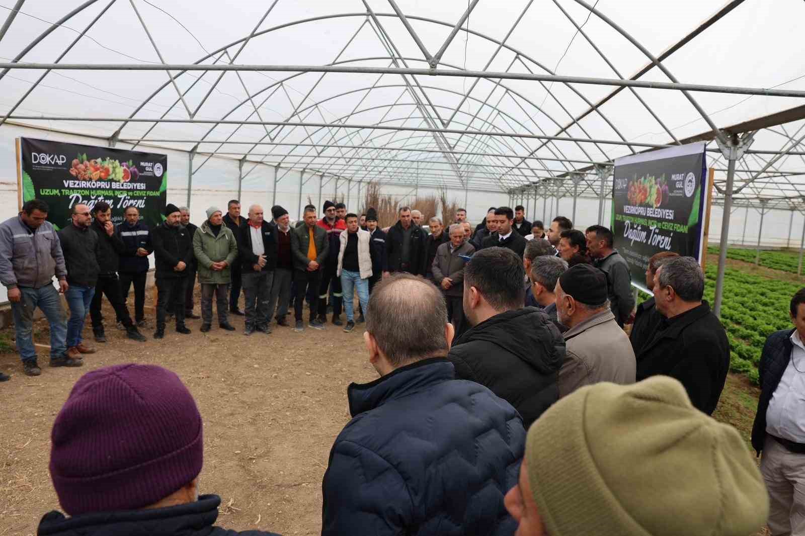 Vezirköprü’de çiftçiye 12 bin 500 meyve fidanı