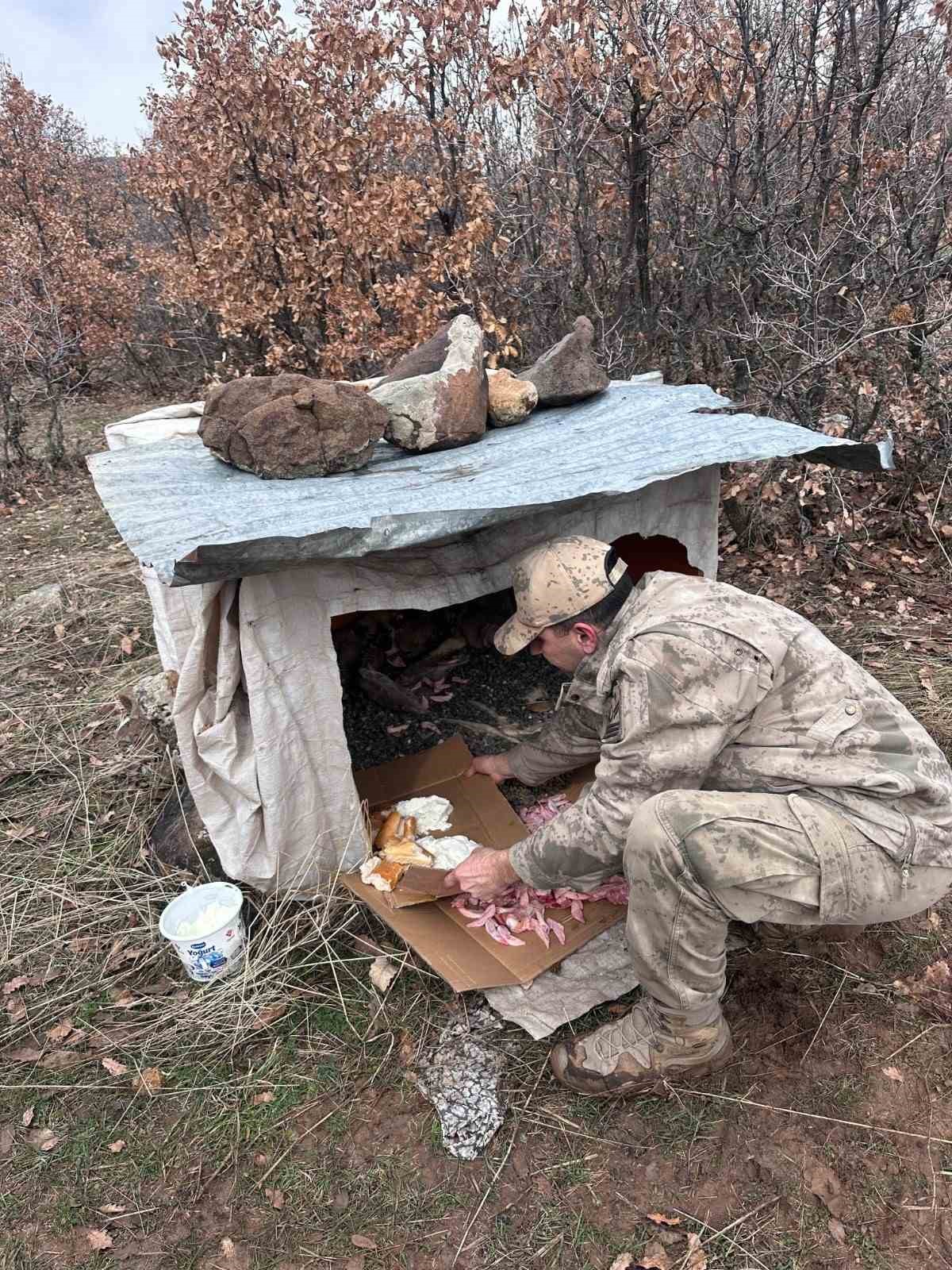 Köy yoluna bırakılan yavru köpeklere jandarmandan şefkat eli