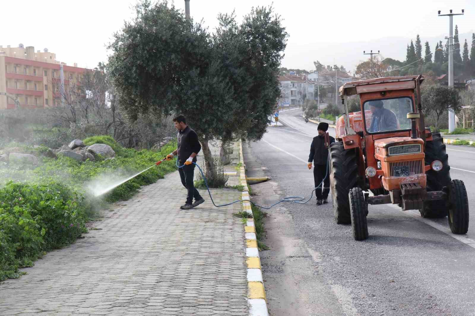 Bozdoğan’da yabani ot mücadelesi