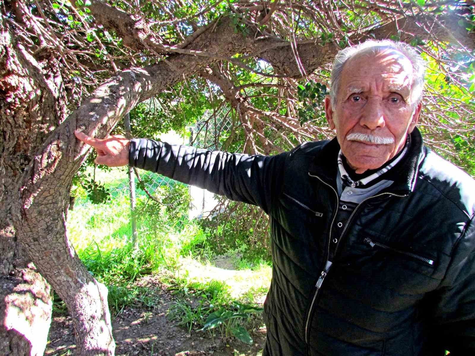 Alaçatı’da, sakızın 70 yıllık geçmişini anlattılar