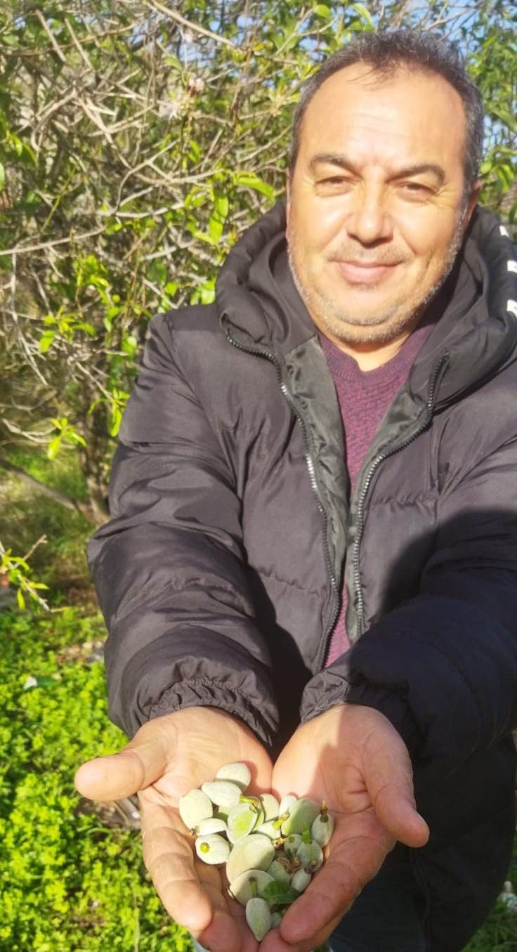 Kara k��ta badem s�rprizi
