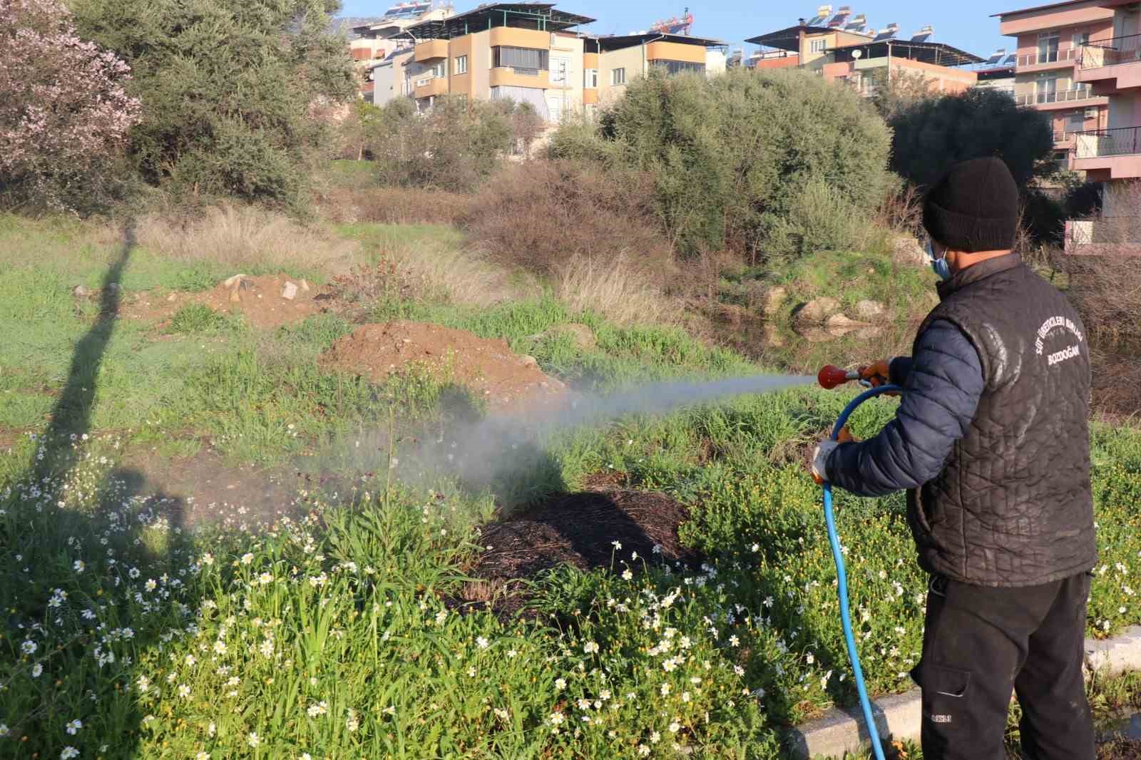 Bozdoğan&rsquo;da yabani ot m&uuml;cadelesi
