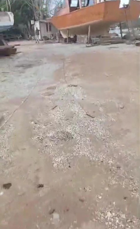 K&ouml;peği av t&uuml;feğiyle &ouml;ld&uuml;rd&uuml;, g&ouml;zaltına alındı
