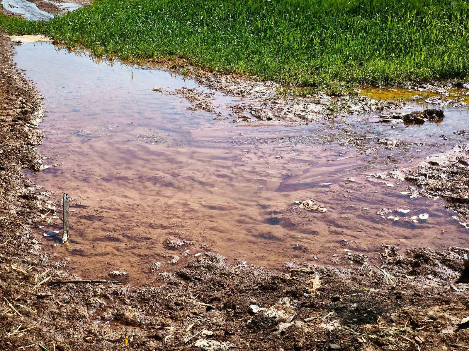 Tarımsal sulamada kaçak elektrik kullanımı 5 milyar kWh’ye ulaştı