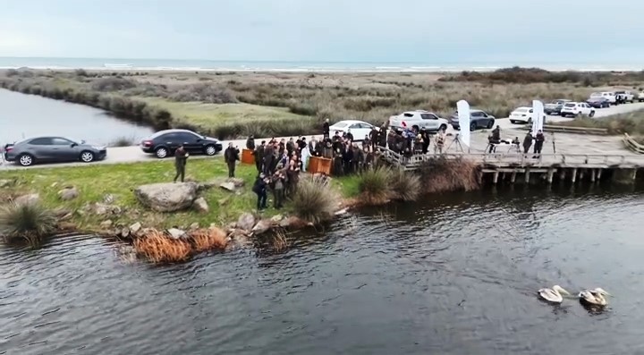 Yaralı pelikanlar tedavilerinin ardından doğaya salındı