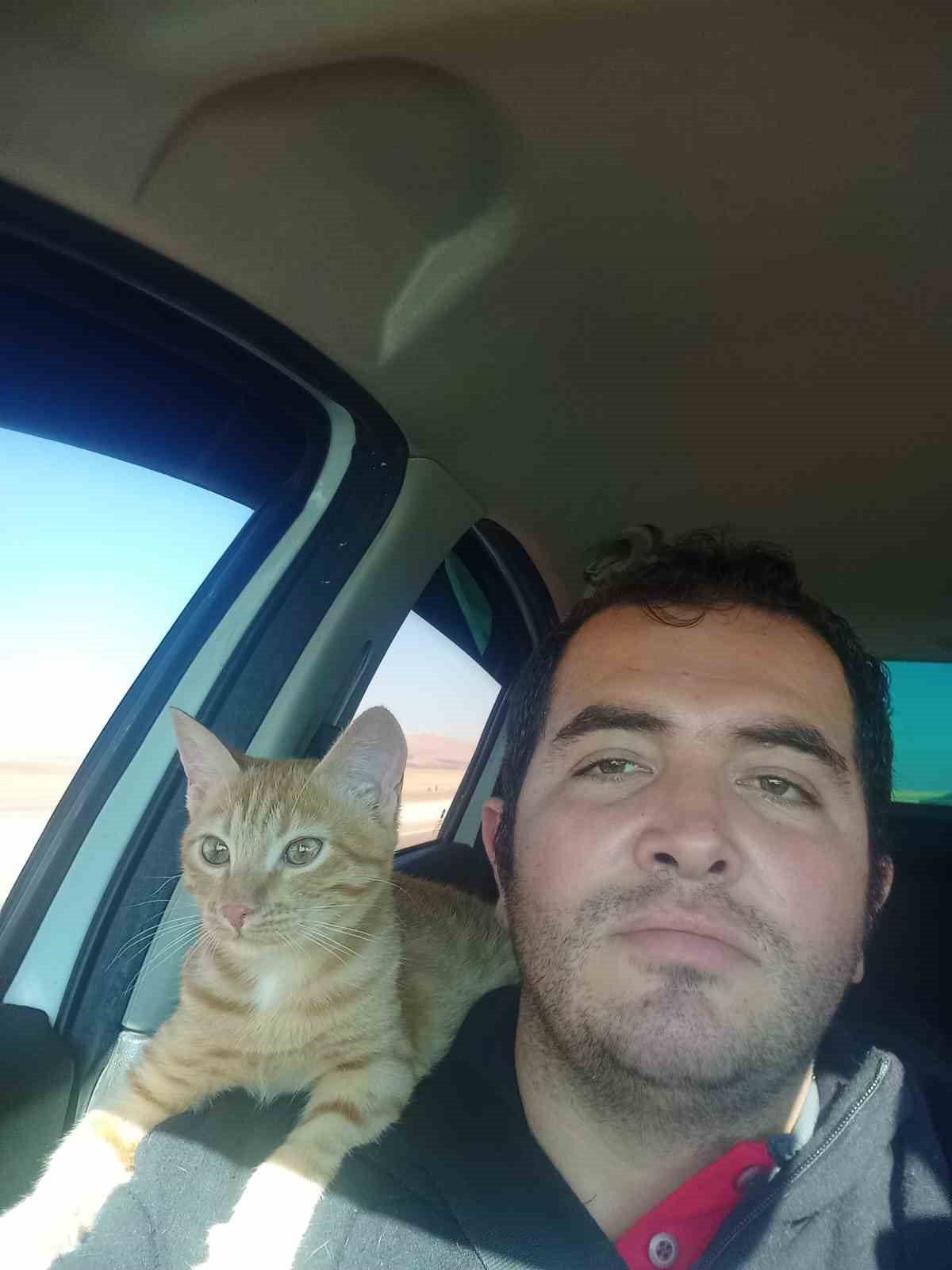 Kaybolan kedisi için binlerce kilometre yol yaptı