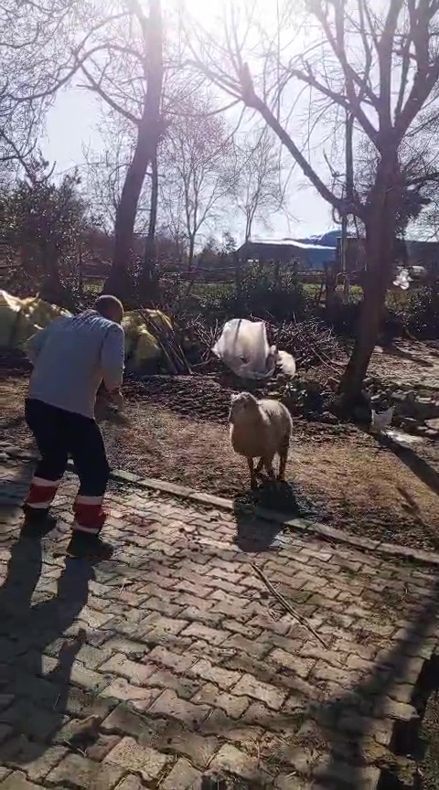 51 yaşındaki d&uuml;nya şampiyonu, g&uuml;reş&ccedil;i ko&ccedil;la antrenman yaptı
