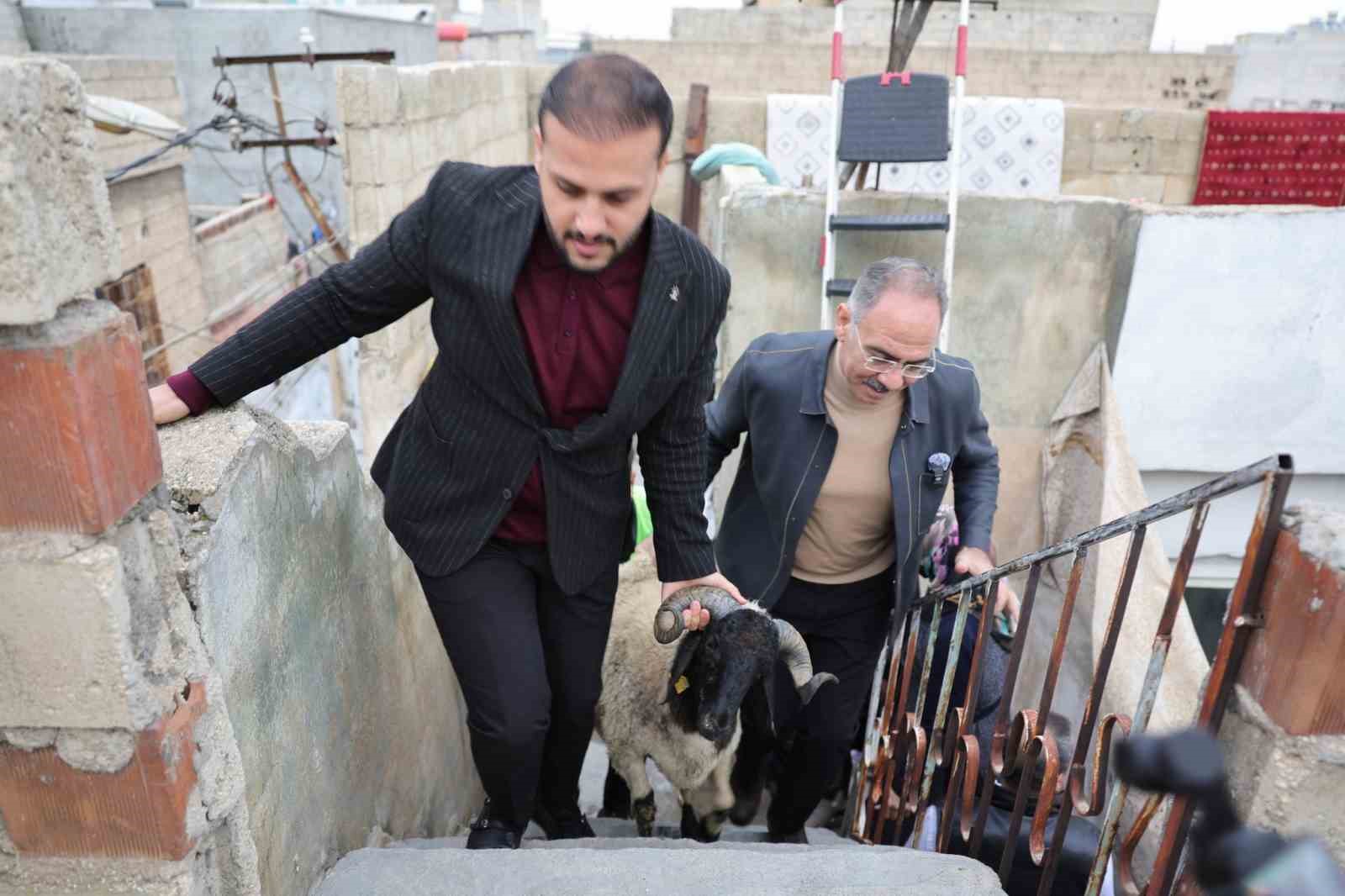 Eyyübiye’de 400 aileye ‘koç’ sürprizi