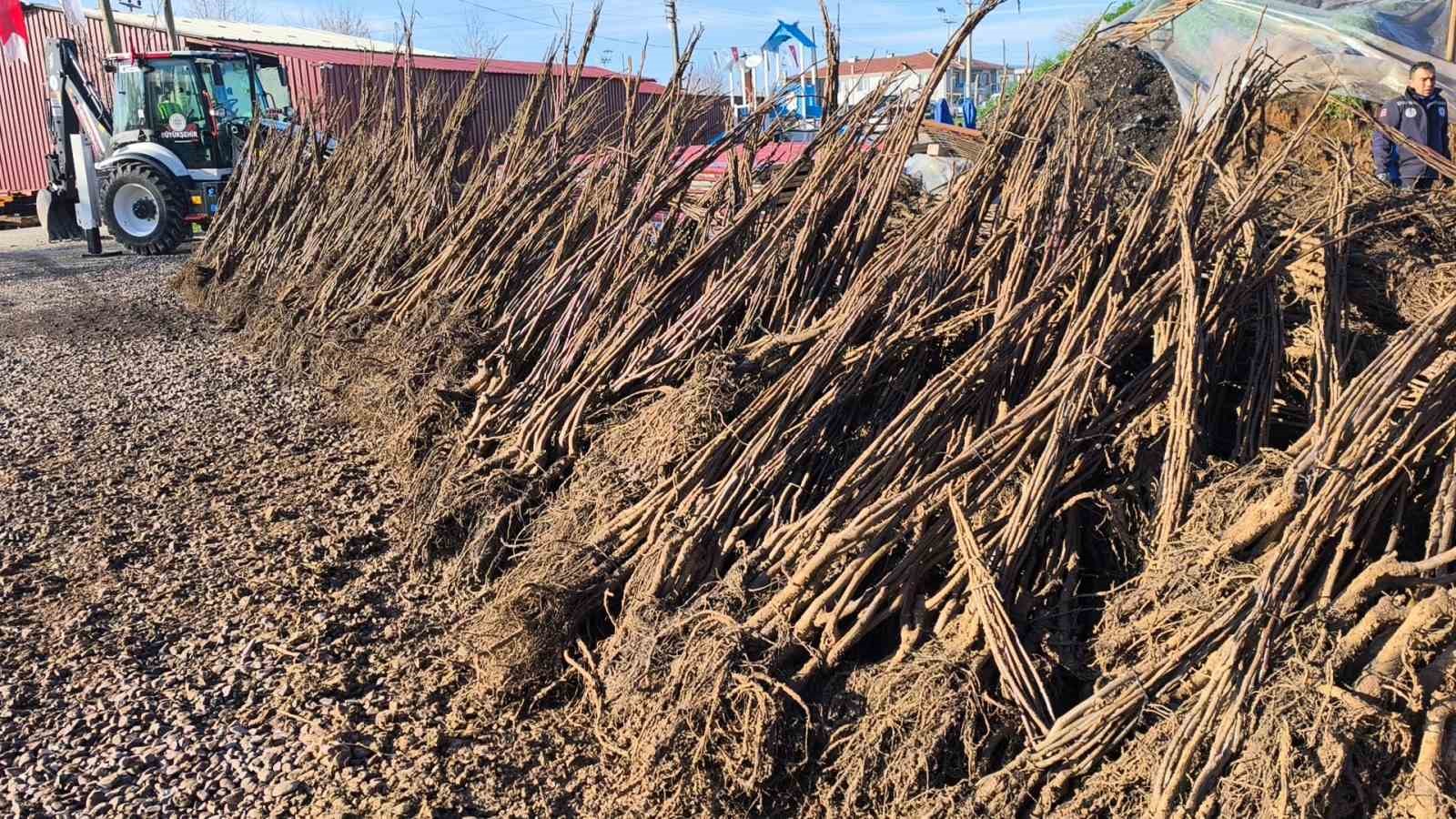 Muğla&rsquo;da toprak gelecekle buluşuyor: "50 bin fidan &uuml;reticiye teslim edildi"
