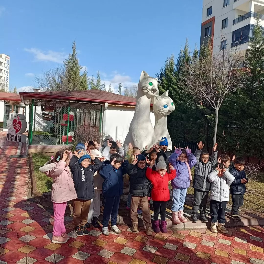 Pursaklar’da öğrencilerden kedi evine ziyaret