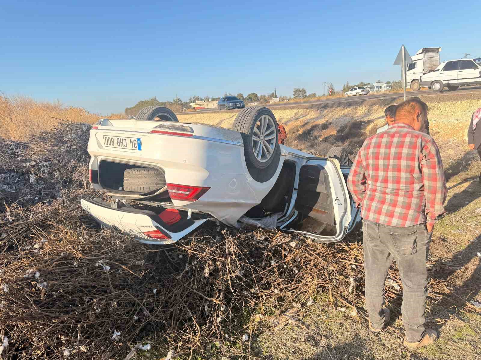 Pamuk sapları s&uuml;r&uuml;c&uuml;n&uuml;n hayatını kurtardı
