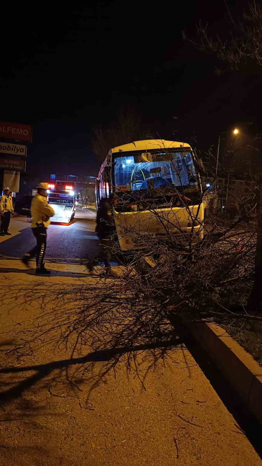 Bolu&rsquo;da kontrolden &ccedil;ıkan halk otob&uuml;s&uuml; ref&uuml;je &ccedil;ıktı, ağaca &ccedil;arparak durabildi
