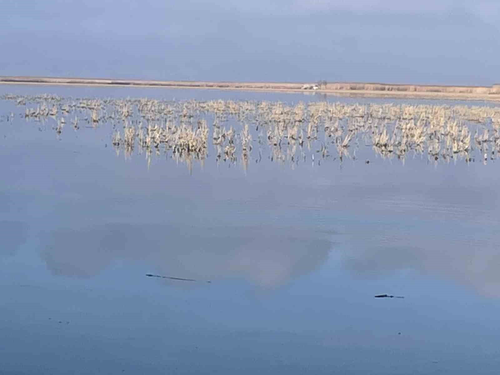 Her damlanın Eber Gölü’ne ulaşması için topyekun mücadele