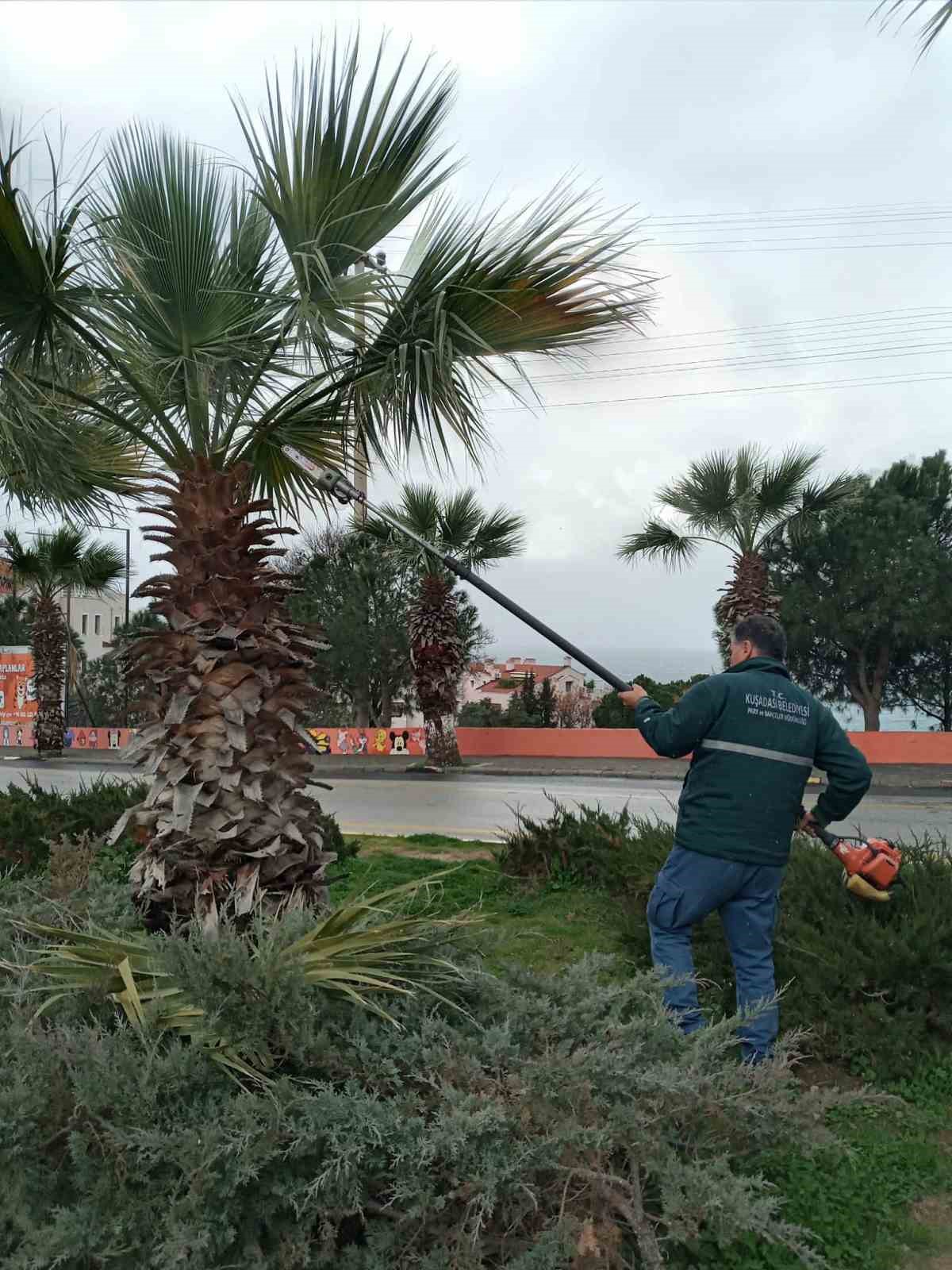 Kuşadası Belediyesi daha temiz ve daha yeşil bir kent i&ccedil;in &ccedil;alışıyor
