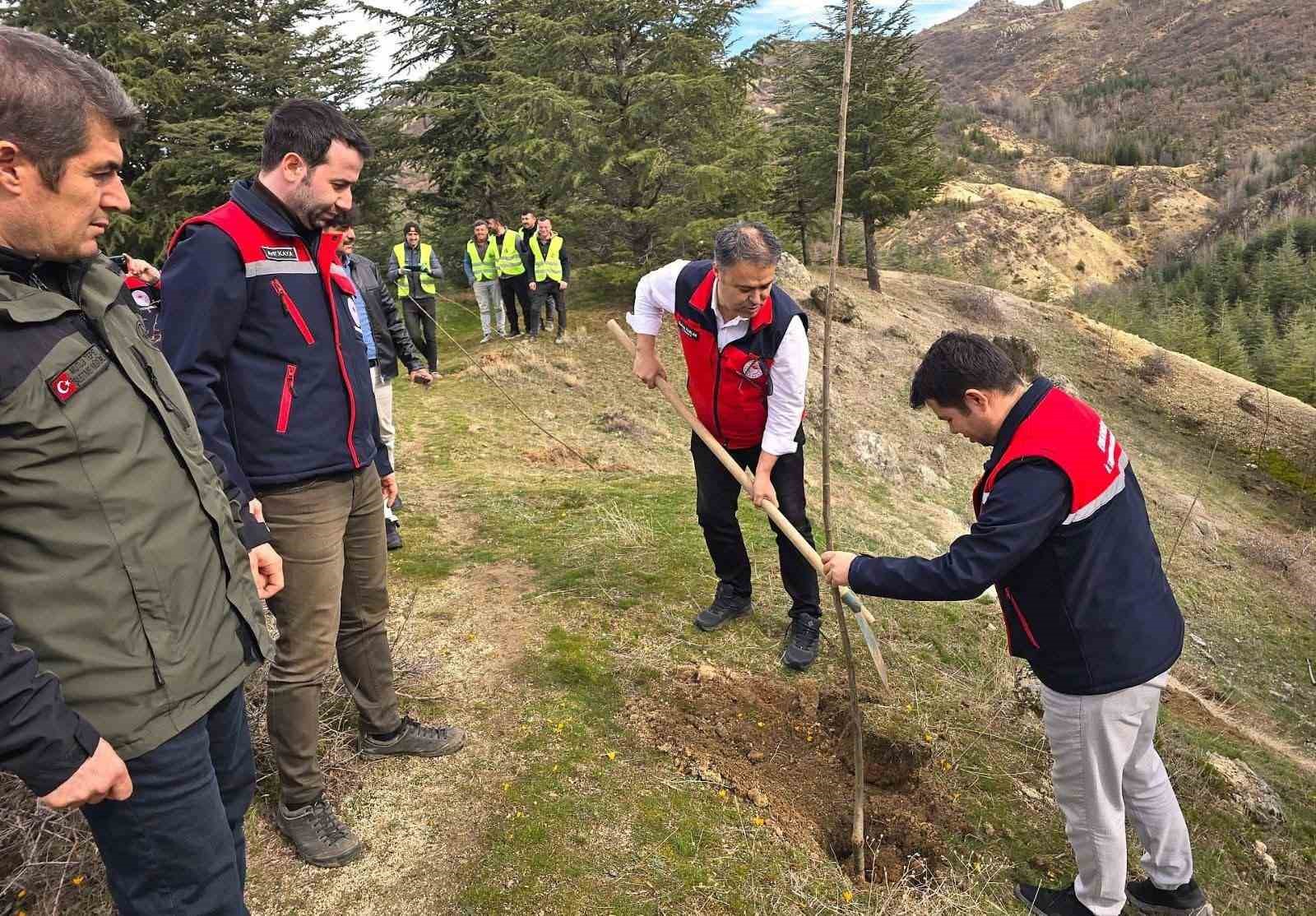 Afyonkarahisar’da 2 bin kestane fidanı toprakla buluşturuldu