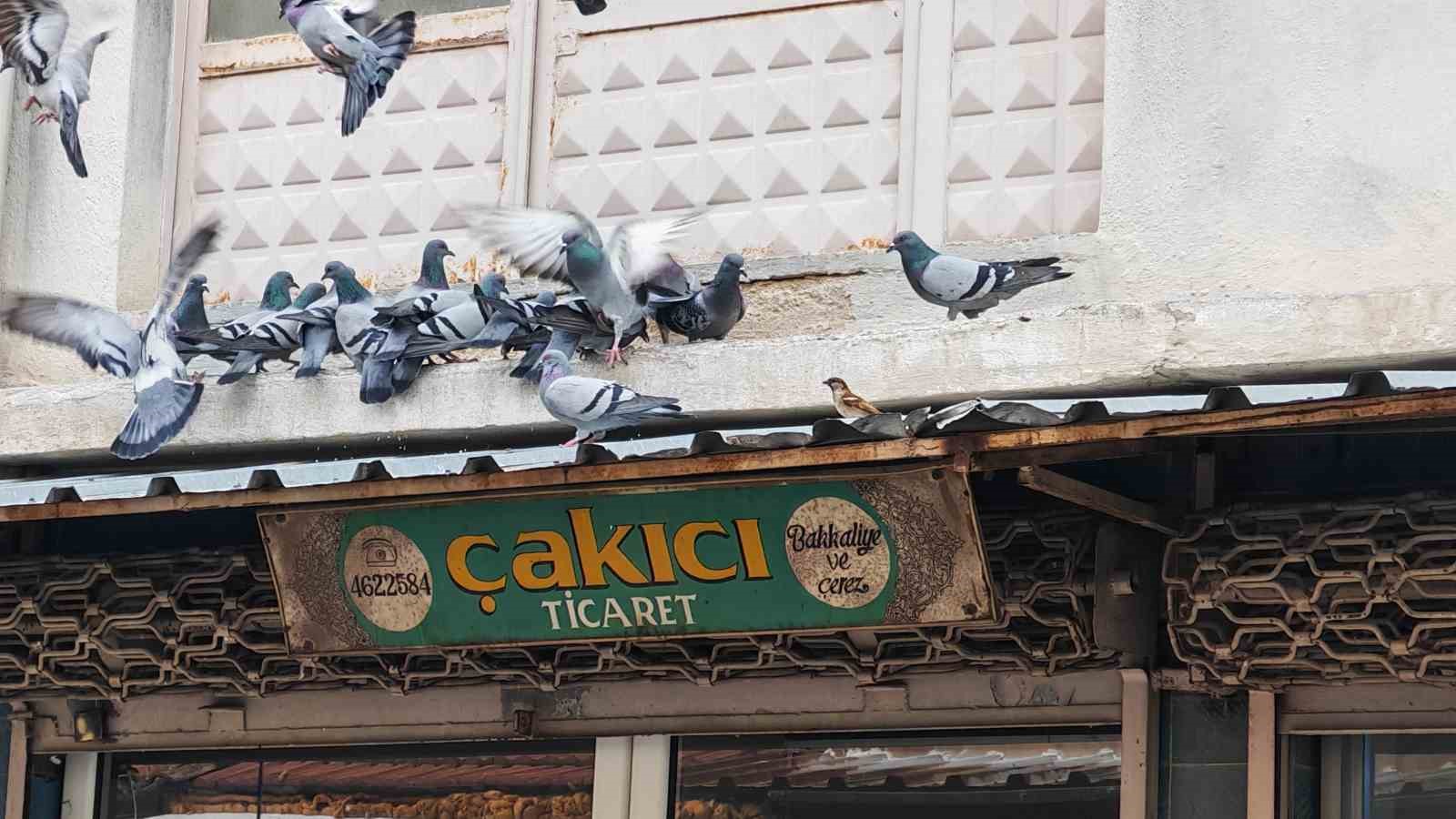 Balkonunu kuşlara sofra yaptı: Demircili esnaftan örnek davranış