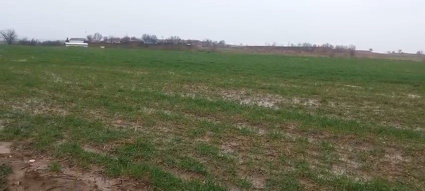 Edirneli &ccedil;ift&ccedil;inin kurak yılların ardından bereketli sezon umudu
