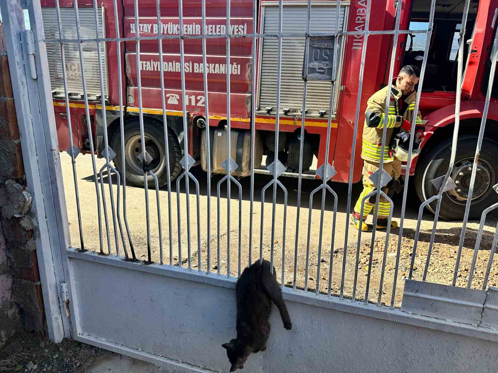 Kapı korkuluğuna sıkışan kediyi itfaiye kurtardı