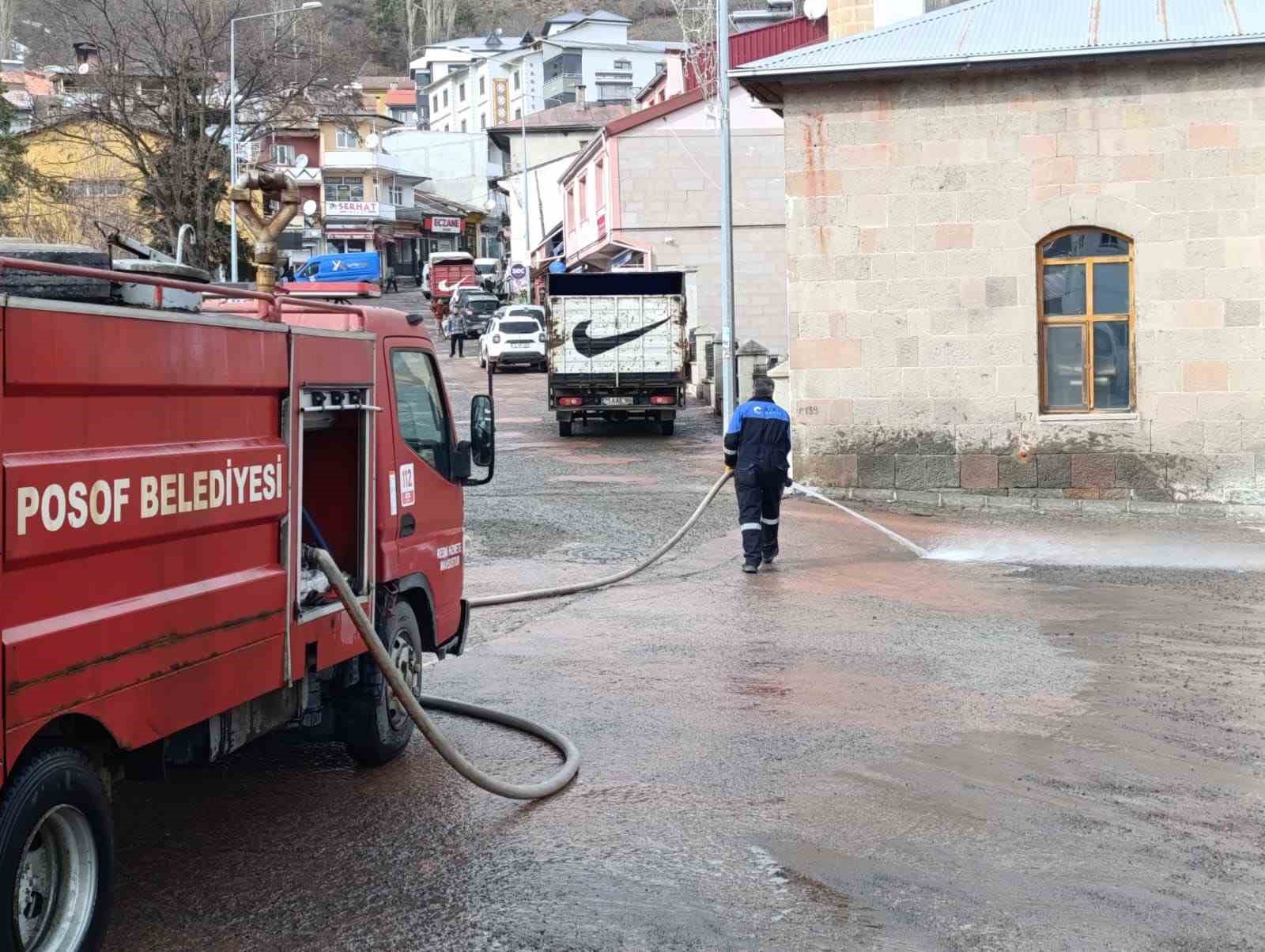 Posof’ta bahar temizliği