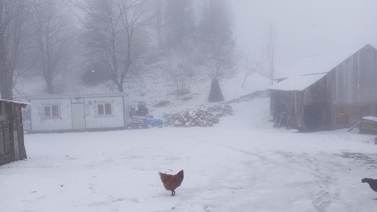 Sakarya’da şehir merkezinde yağmur, yüksek kesimlerde kar etkili oluyor