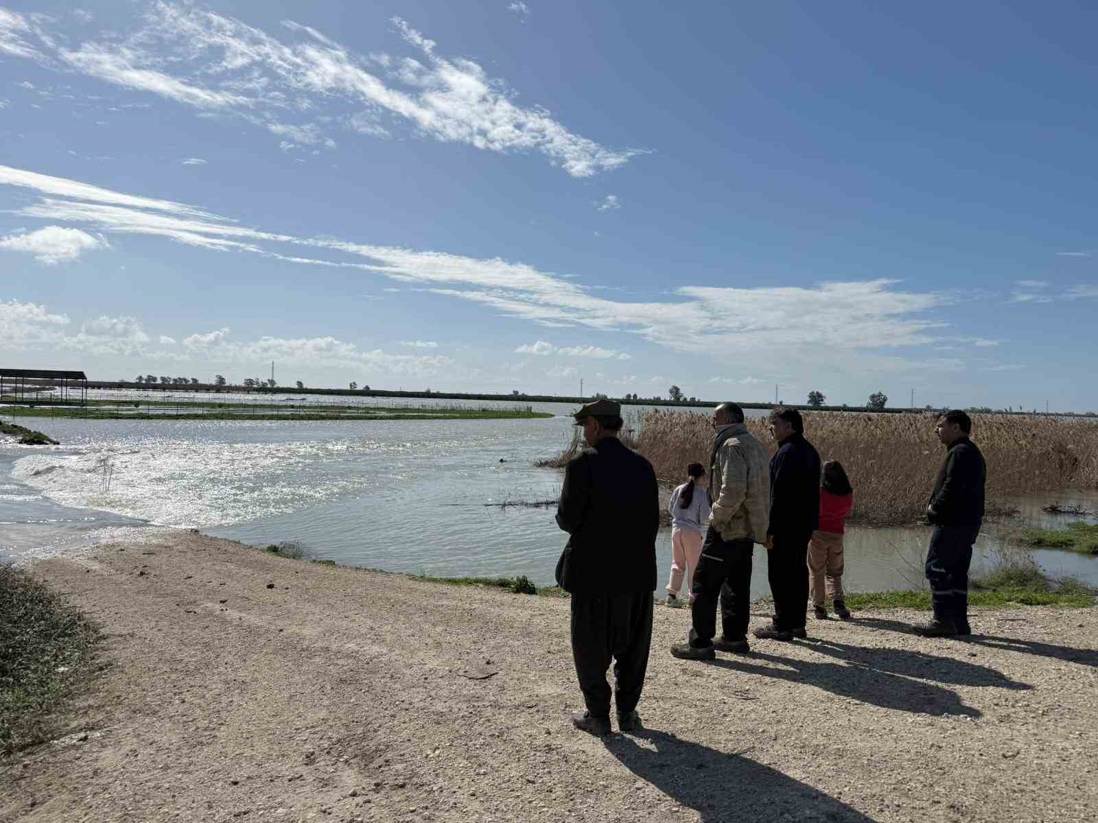 Seyhan Nehri taştı, Tarsus’ta tarım arazileri sular altında kaldı