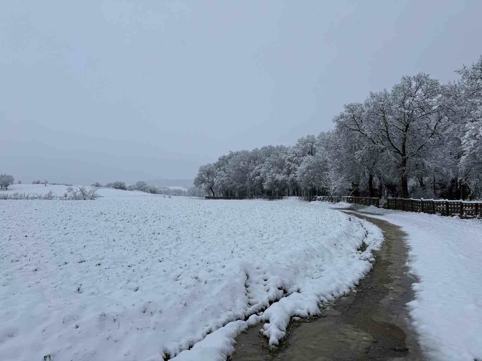 Tekirdağ’ın yüksek kesimleri karla kaplandı