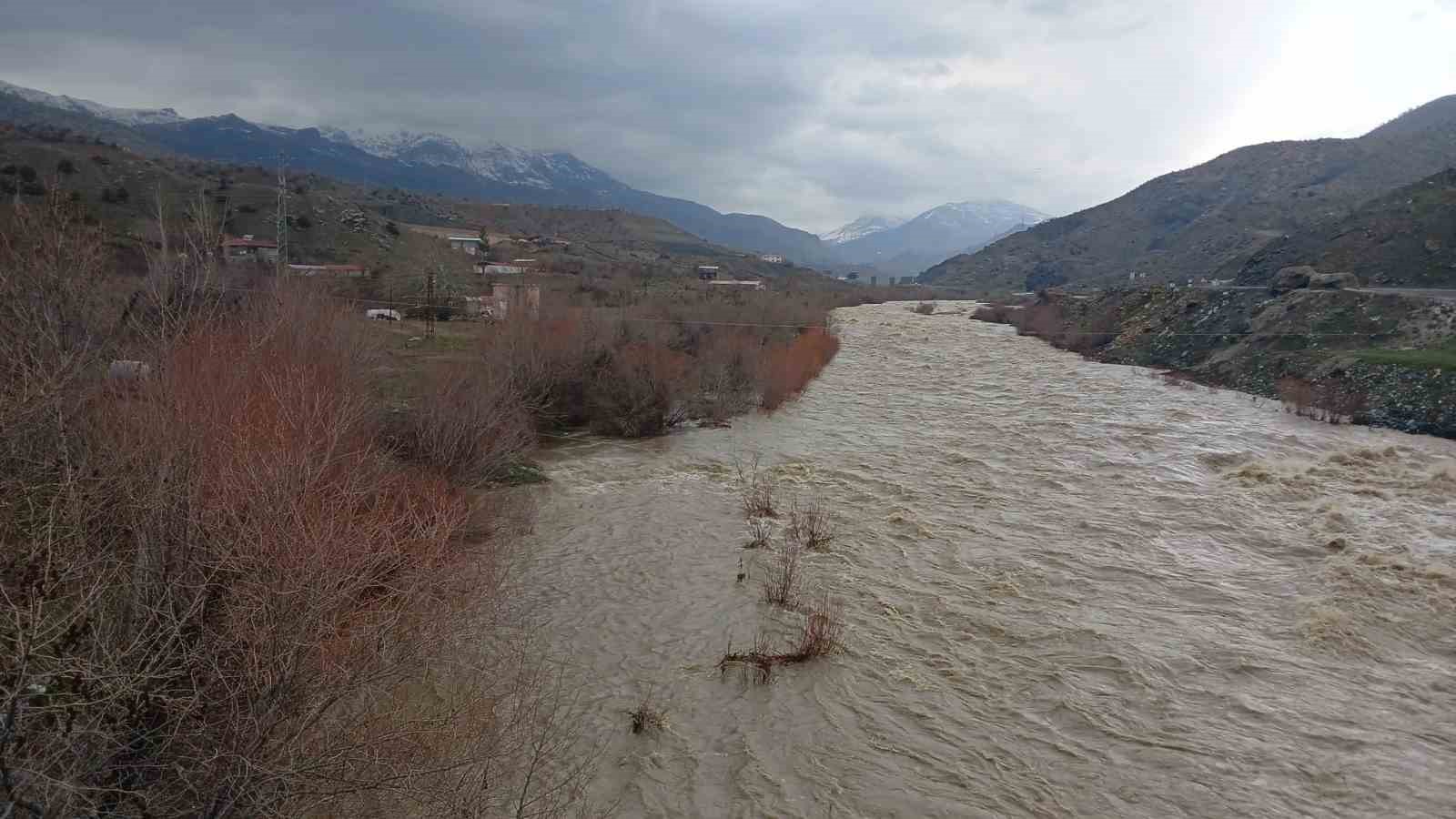 Kulp &Ccedil;ayı taştı: Yağış ve kar erimesiyle debi rekor seviyeye &ccedil;ıktı
