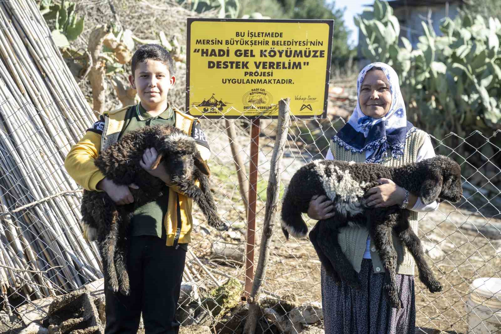 Mersin&rsquo;de 360 yetiştiriciye 9 bin k&uuml;&ccedil;&uuml;kbaş desteği
