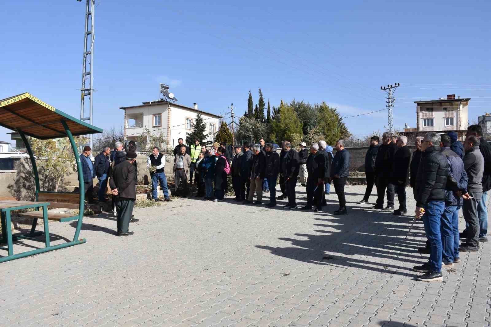 Antep fıstığı ve zeytin &uuml;reticilerine budama eğitimi
