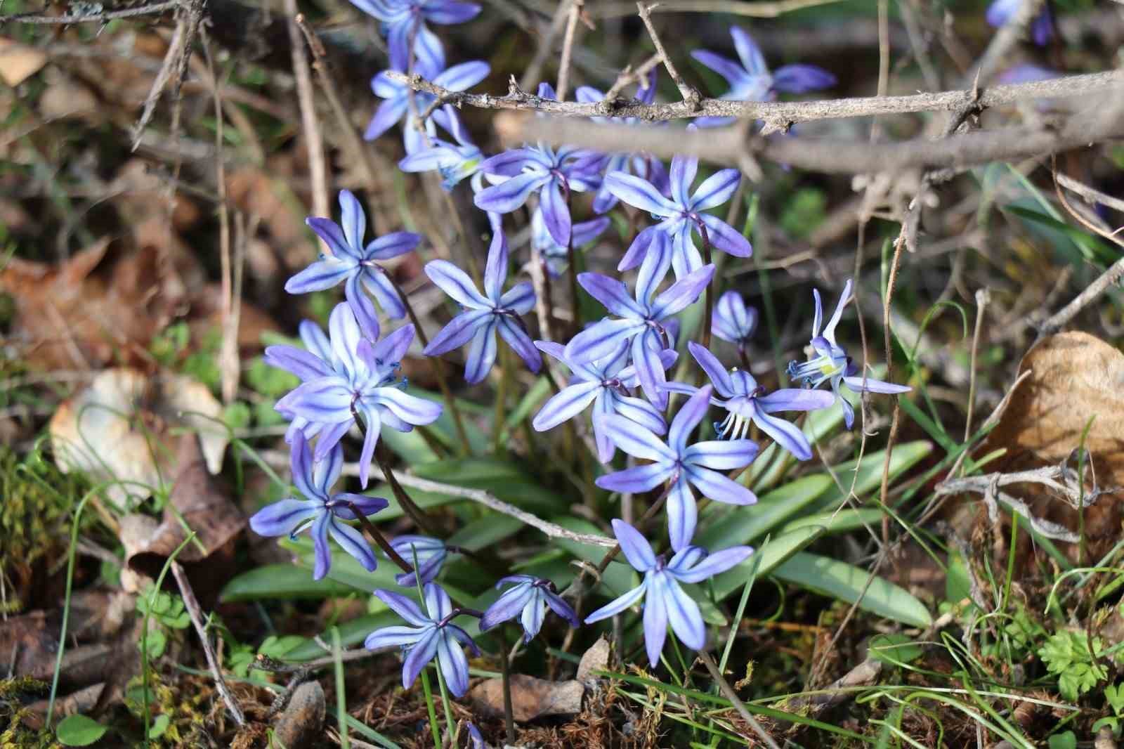 Erzurum&rsquo;un bir yanı kış bir yanı bahar
