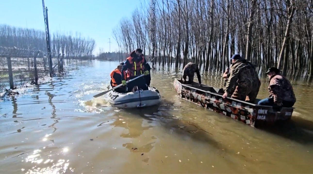&Ccedil;iftliklerde mahsur kalan hayvanlar botla kurtarılıyor
