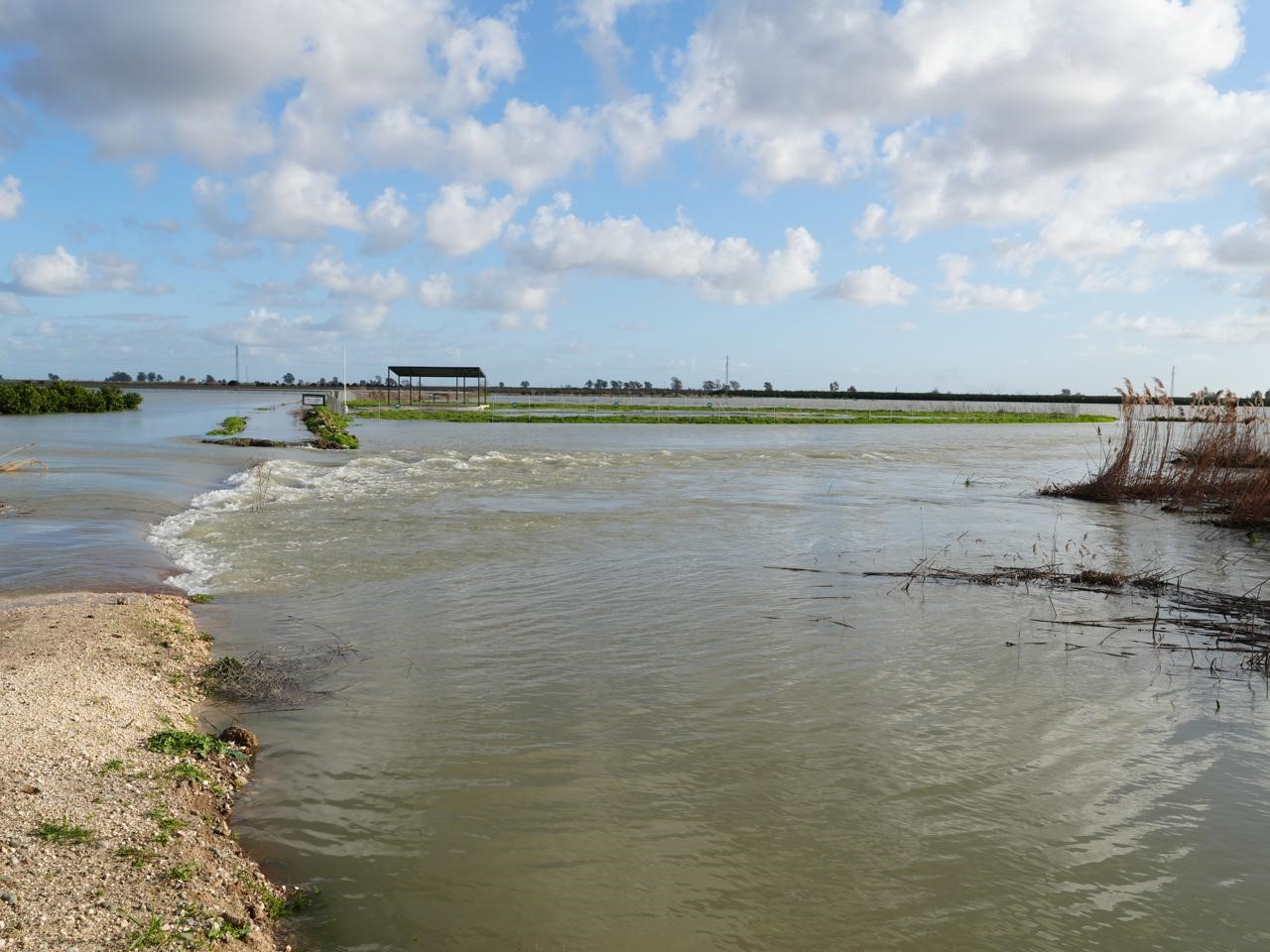 Tarsus Belediyesi sel ve fırtına sonrası zarar tespiti için sahada