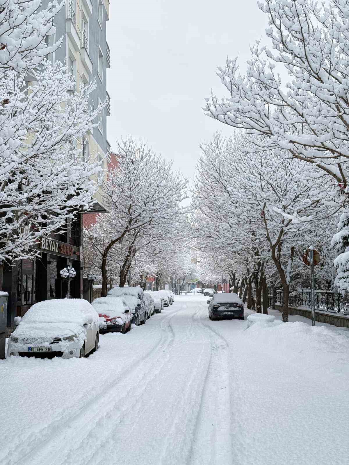 Patnos’ta kar sürprizi: İlçe merkezine 40 cm kar yağdı
