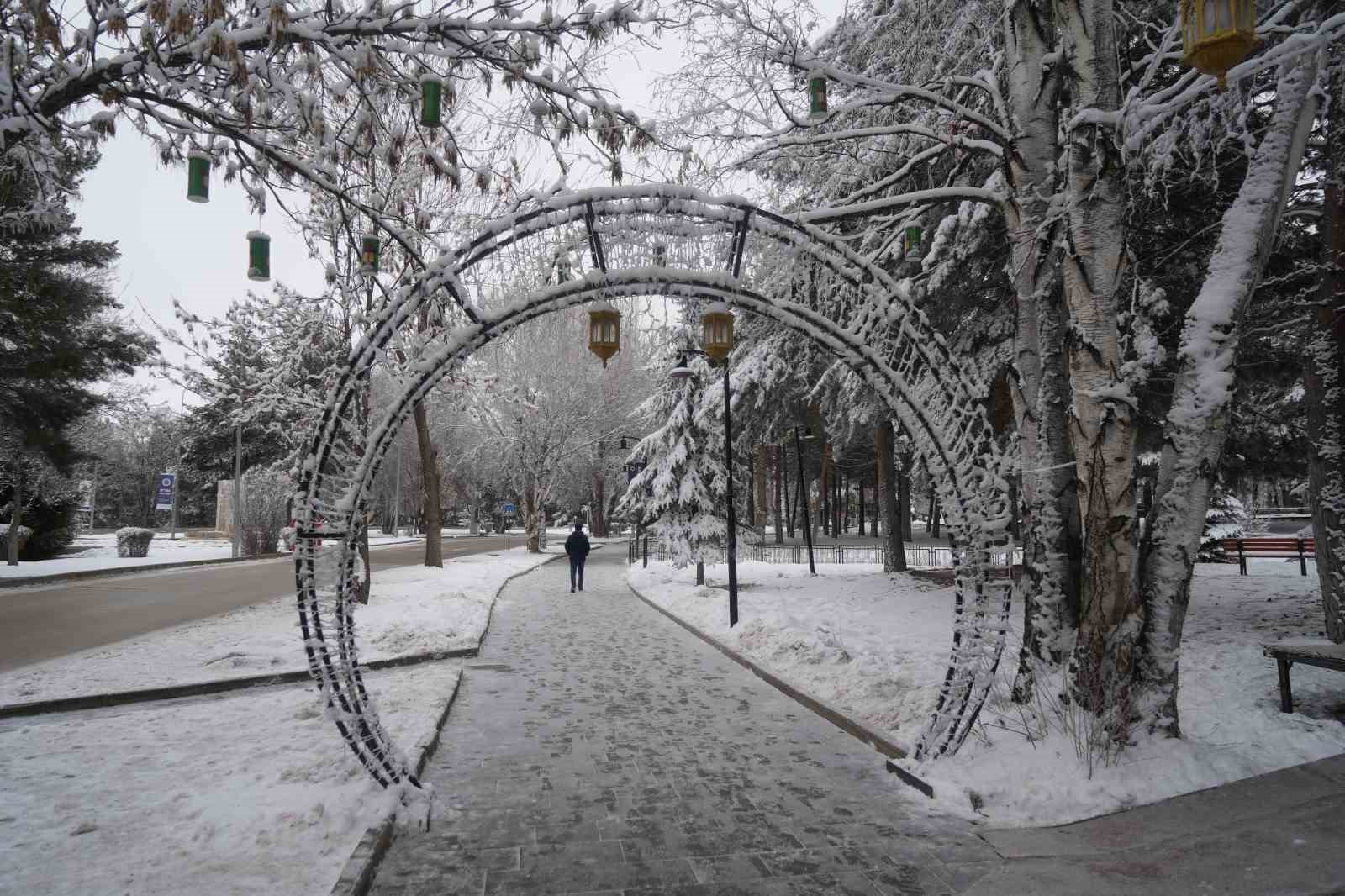 Erzurum&rsquo;da soğuk havanın etkisiyle ağa&ccedil;lar kırağı tuttu

