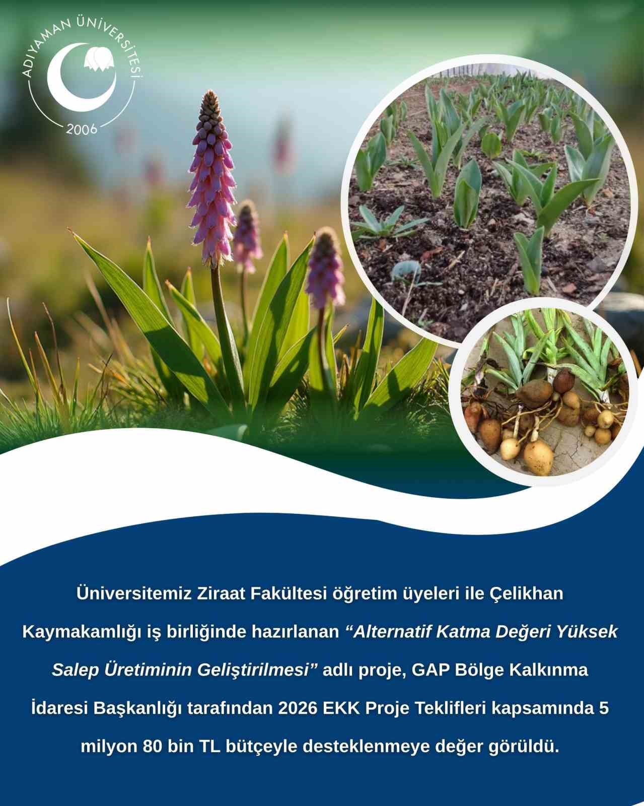 Adıyaman Üniversitesinden kırsal kalkınma için salep hamlesi