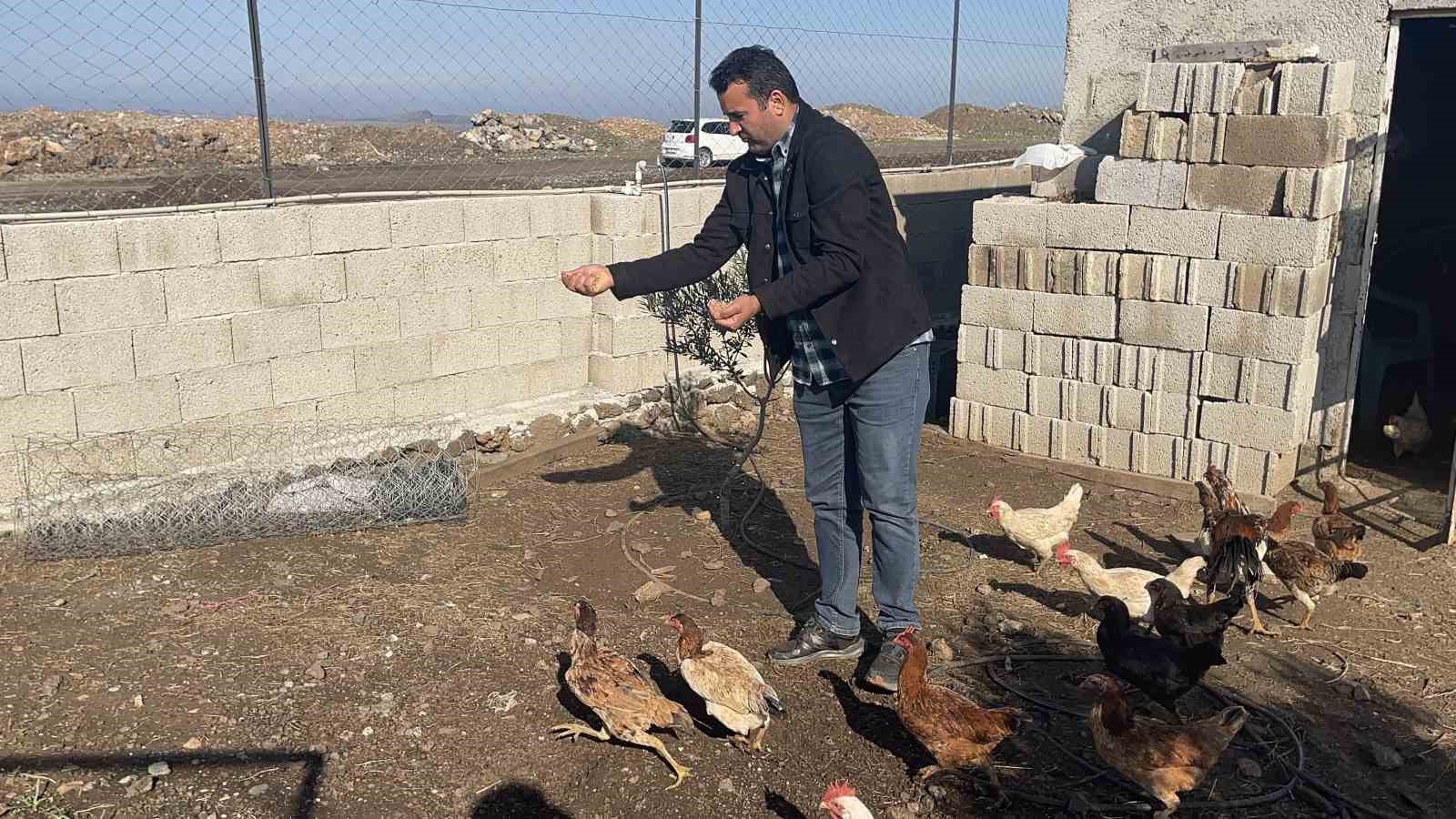 Osmaniye&rsquo;de hobi bah&ccedil;esine giren hırsızlar 25 g&uuml;vercini &ccedil;aldı
