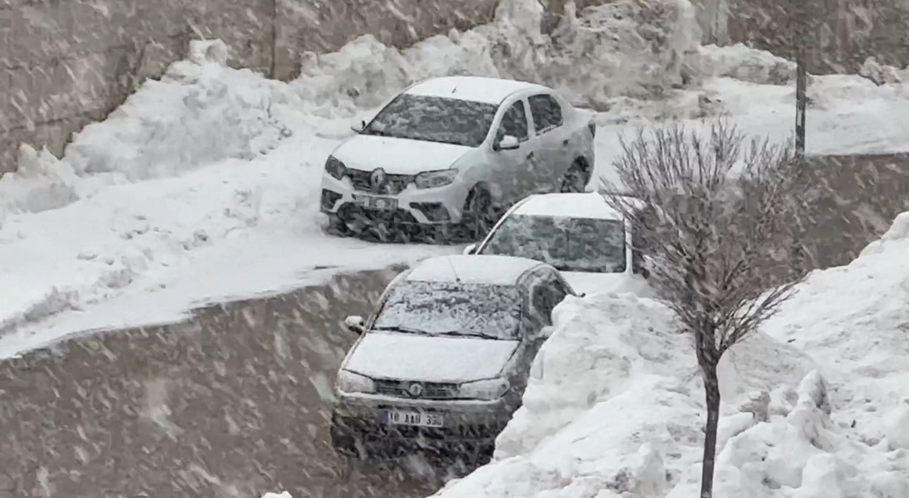 Yüksekova’da lapa lapa kar yağışı başladı