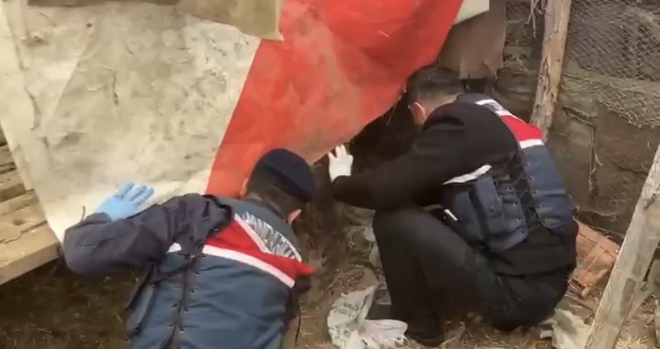 Jandarma, kümese saklanan uyuşturucuyu ele geçirdi: 2 gözaltı