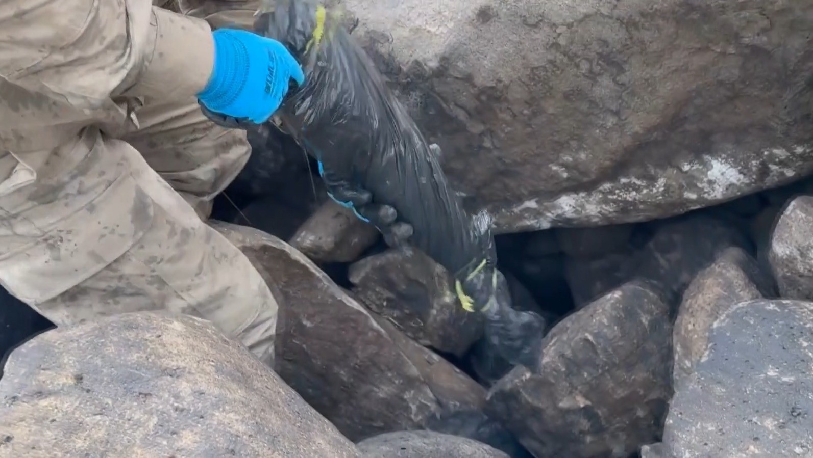 Şanlıurfa&rsquo;da silah ka&ccedil;ak&ccedil;ılığı operasyonu: 8 g&ouml;zaltı
