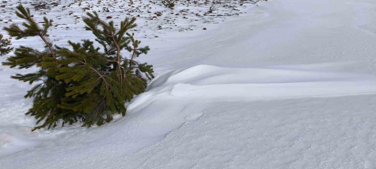 Bolu&rsquo;da soğuk hava ağa&ccedil;ları dondurdu
