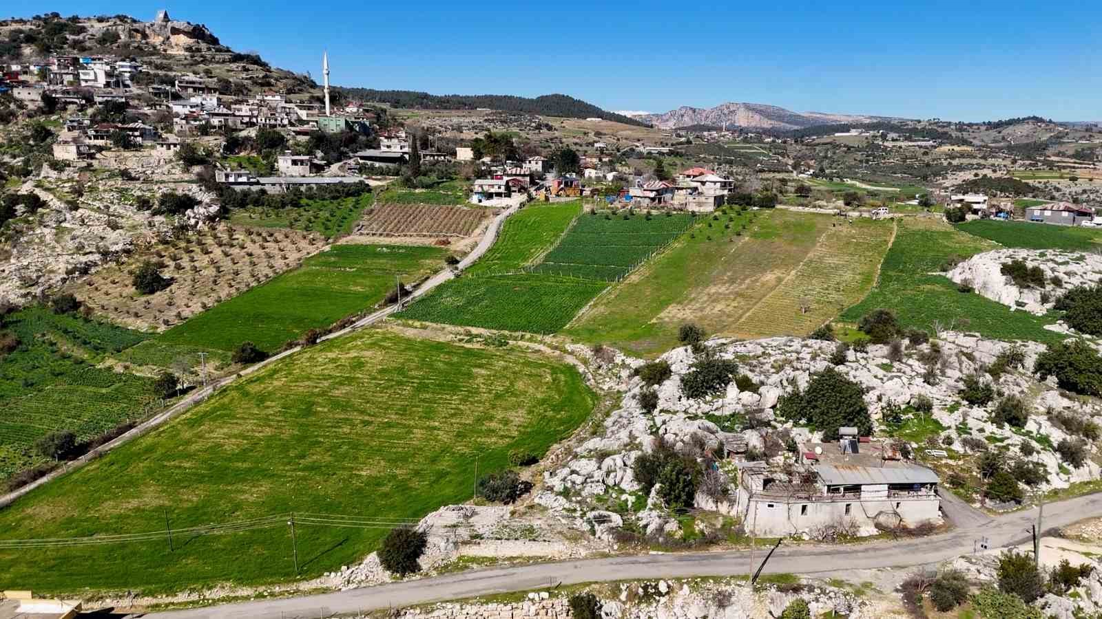 Mersin&rsquo;de atıl araziler nergisle değerlendi, &uuml;retim 10 kat arttı
