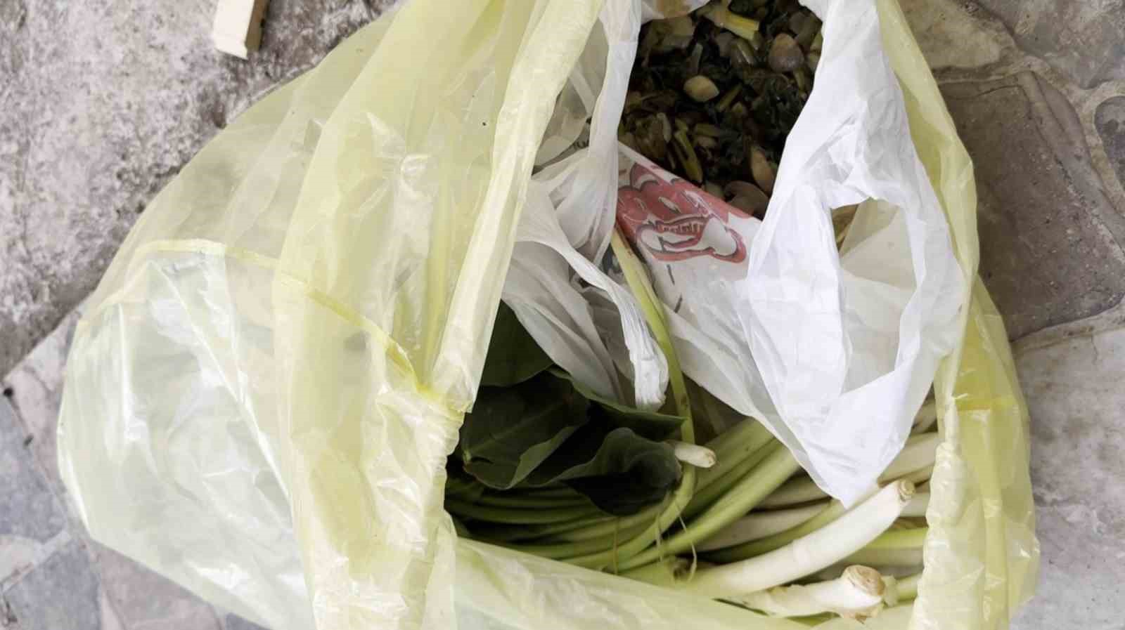  Mersin'de pazardan iddiaya göre pazı diye aldığı ürün zehirli tirşik otu çıkınca doktor çiften Uzm. Dr. Serkan Yüksel bir anda fenalaştı.