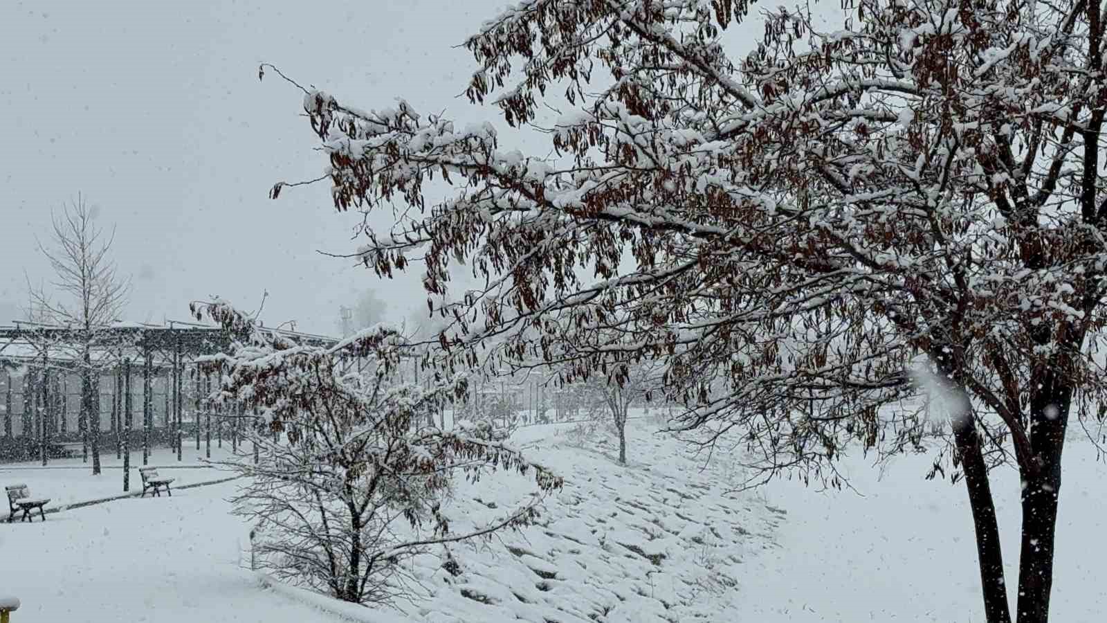 Tatvan&rsquo;da kar yağışı
