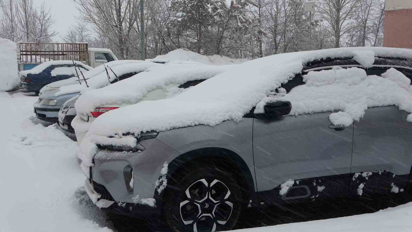 Bitlis&rsquo;te kar mesaisi
